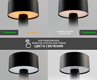 Настольная лампа DOWN LIGHT 2W R-SENSOR-85x215-BLACK-DC5V/1A-IP20