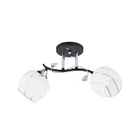 Люстра 3010/2 MIX