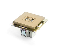 Катрин Розетка USB 2-ая 2.1A золото GLS10-7115-08