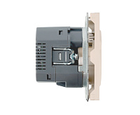 Эмили Розетка 1-местная +USB + Type C, кашемир, RST16-5119-08