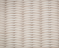 TC72456-22 Обои 10 ВВ ГТ ФО Палитра Trend Nature