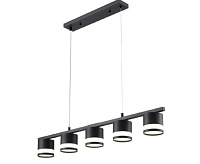 Подвесной светильник 6670/5 BK