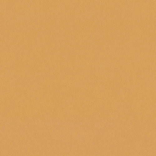 6027-05 Обои Eurodecor Capsule