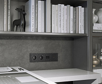 Веркель Розетка 1-ая с/з (черный матовый) W1271008 Hammer