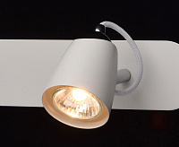 Спот Астор 545021503