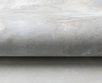 Обои Richie Victoria Stenova 281024 (6) сн/пр