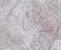 Обои Палитра LOFT PL71710-48  