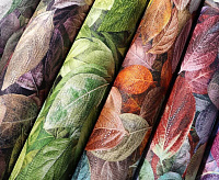 Обои Elysium 18207 E Шелест 