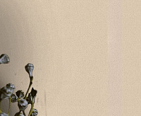 Обои Eurodecor 7087-01 Saint-Tropez