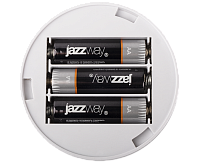 Светильник-фонарь TS6-L1W-SENS (датчик движения) JAZZway 