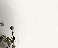 88366 Обои Ostima Cafe (6)