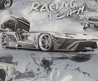 HC72349-41 Обои Home Color Racing Team (8) ВВ ГТ ФО 1,06*10м