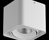 Светильник Lightstar Monocco 052136 сн/пр