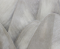 70535-24 Обои 10 ВВ ГТ ФО AS Палитра Сидней (6)