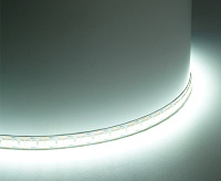 Лента светод 2835/240 19W/m 12V IP20 5м 6500K LS617