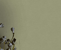 Обои Pantone  Victoria Stenova 989923 (6)