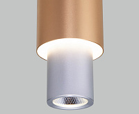 Подвесной LED светильник 50204/1 серебро/матовое золото сн/пр