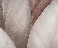 TC72480-82 Обои 10 ВВ ГТ ФО Палитра Trend Nature