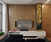 Очаг Cassette 500 PS (без дров) сн/пр