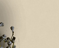 Обои Pantone  Victoria Stenova 989936 (6)