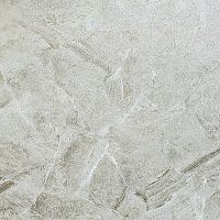 Обои Wiganford Fusion ER2101