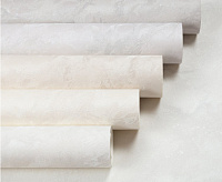 PL72521-12 Обои 10 ВВ ГТ ФО Палитра Aktau