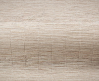 TC72457-22 Обои 10 ВВ ГТ ФО Палитра Trend Nature