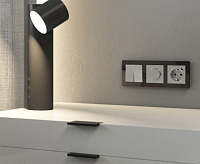 Веркель Диммер (серебро матовое) W1142065