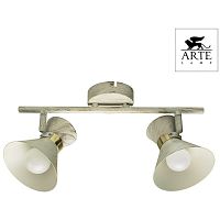 Спот Arte Lamp Baltimore A1406AP-2WG