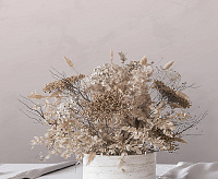 Обои Neva Victoria Stenova 281585 (6) сн/пр