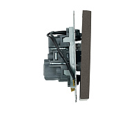 Эмили Выключатель 2кл с подсветкой, антрацит, RSW10-5102-09