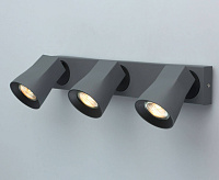 Спот Астор 545022903