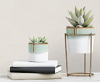 287256 Обои Ateliero Tempo (6)