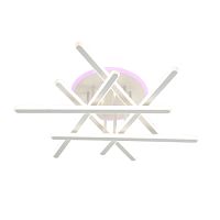 Люстра светодиодная 2900/620 WHITE+RGB