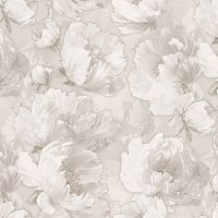 589312 Ateliero Monica