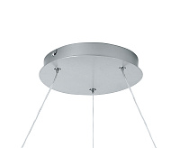 Люстра светодиодная AL5888 60W max 4200Lm 4000K&nbsp;&nbsp;SHINNING RING серебро сн/пр