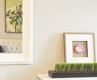  Обои Артекс  гладкий флизелин  150 R