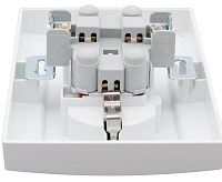 Розетка 2-местная с заземлением 16А EKF ERR16-128-100