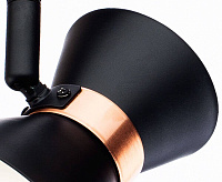 Спот Arte Lamp Baltimore A1406AP-2BK