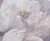 589314 Ateliero Monica сн/пр