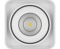 Светильник Lightstar Monocco 052136 сн/пр