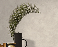 7217-01 Обои Eurodecor Phoenix