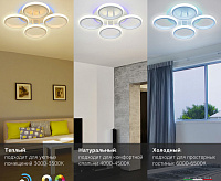 Люстра светодиодная Irmtrud 47W+6,5W 4000K-6000K 6050-104 сн/пр