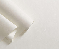 Обои Палитра 715-16 Home Color 