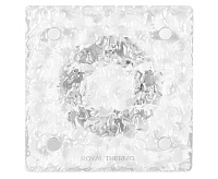 Вентилятор вытяжной Royal Thermo RAFC 100 Frozen