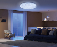 Накладной светильник AL7800 90W 8910Lm 3000K-6400К Lunar glow RGB (ПДУ)