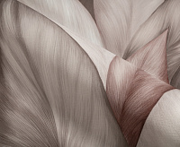 TC72480-82 Обои 10 ВВ ГТ ФО Палитра Trend Nature