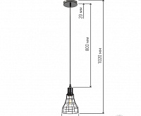 Подвесной светильник ЭРА PL10 BK черный