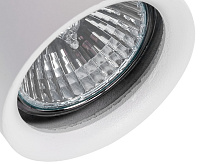 Спот Астор 545020502