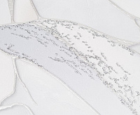 PL72009-14 Обои 10 ВВ ГТ ФО Палитра Innopolis (6)